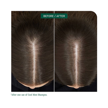 Biolage_Scalp_Sync_Cool_Mint_Shampoo / 13.5OZ