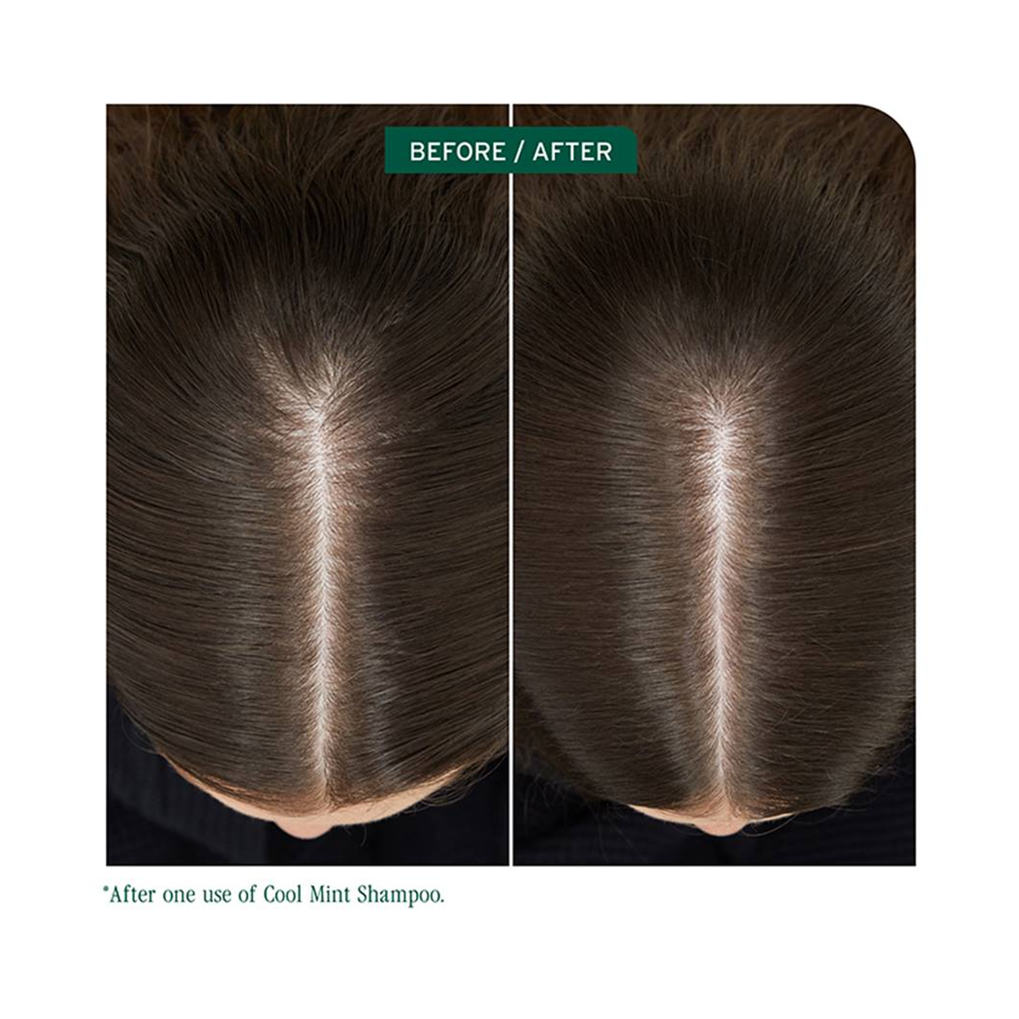 Biolage_Scalp_Sync_Cool_Mint_Shampoo / 33OZ