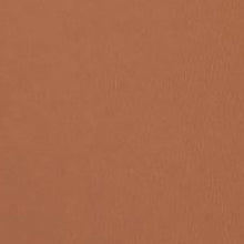 Frankie Rose Pressed Powder Foundation / CHESTNUT / Swatch