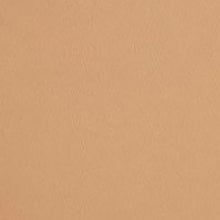 Frankie Rose Pressed Powder Foundation / PORCELAIN / Swatch