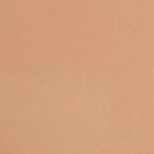 Frankie Rose Pressed Powder Foundation / SPICE / Swatch