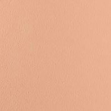 Frankie Rose Pressed Powder Foundation / VINTAGE / Swatch