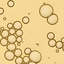 Living Proof No Frizz Vanishing Oil / 1.7OZ