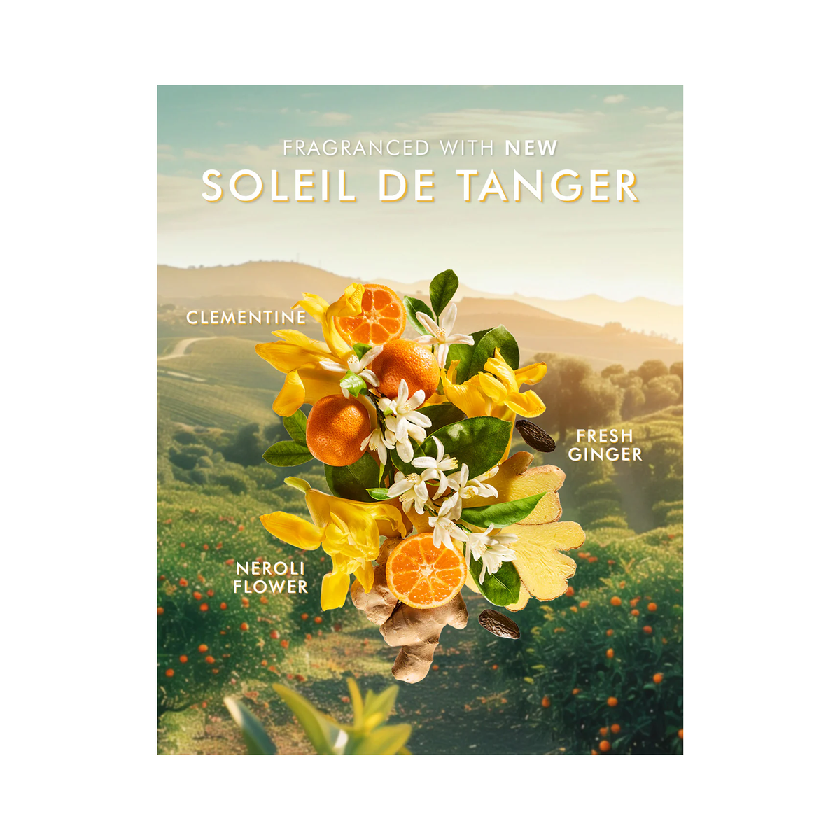 Moroccanoil_Hand_Cream_Soleil_De_Tanger_3.4oz / 3.4OZ