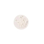 Osmosis Beauty Purify Enzyme Cleanser / 200ml