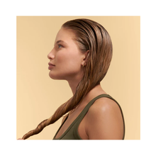 Phyto Nourishment Nourishing Shampoo / 16.9OZ