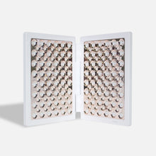 reVive Lux dpl lla Panel – LED Treatment Panel Anti-Aging & Acne