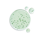 Rene_Futerer_FORTICEA_Strengthening_Revitalizing_Shampoo_16.9oz / 16.9 oz