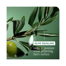 Biolage_Strength_Recovery_Deep_Treatment_Mask / 3.3OZ