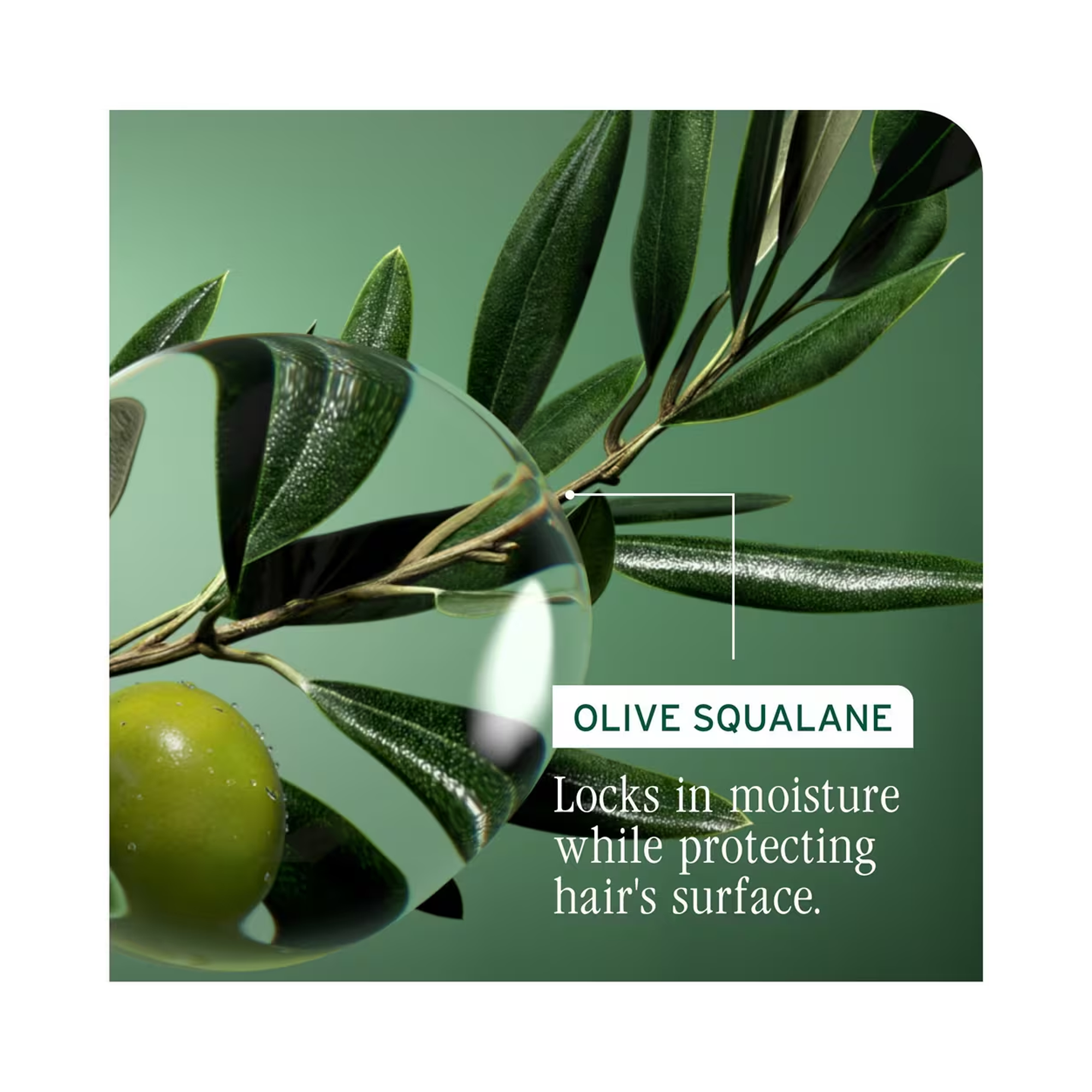 Biolage_Strength_Recovery_Shampoo_33oz / 33OZ