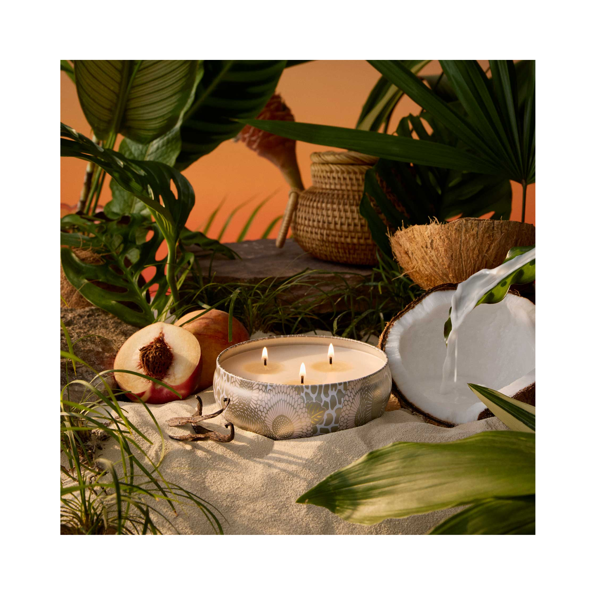 Voluspa Japonica 3 Wick Candle in Decorative Tin Tahitian Coconut Vanilla / Tahitian Coconut Vanilla