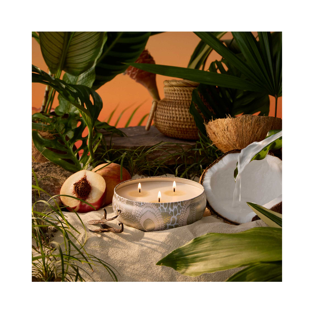 Voluspa Japonica 3 Wick Candle in Decorative Tin Tahitian Coconut Vanilla / Tahitian Coconut Vanilla, image 30784325550230