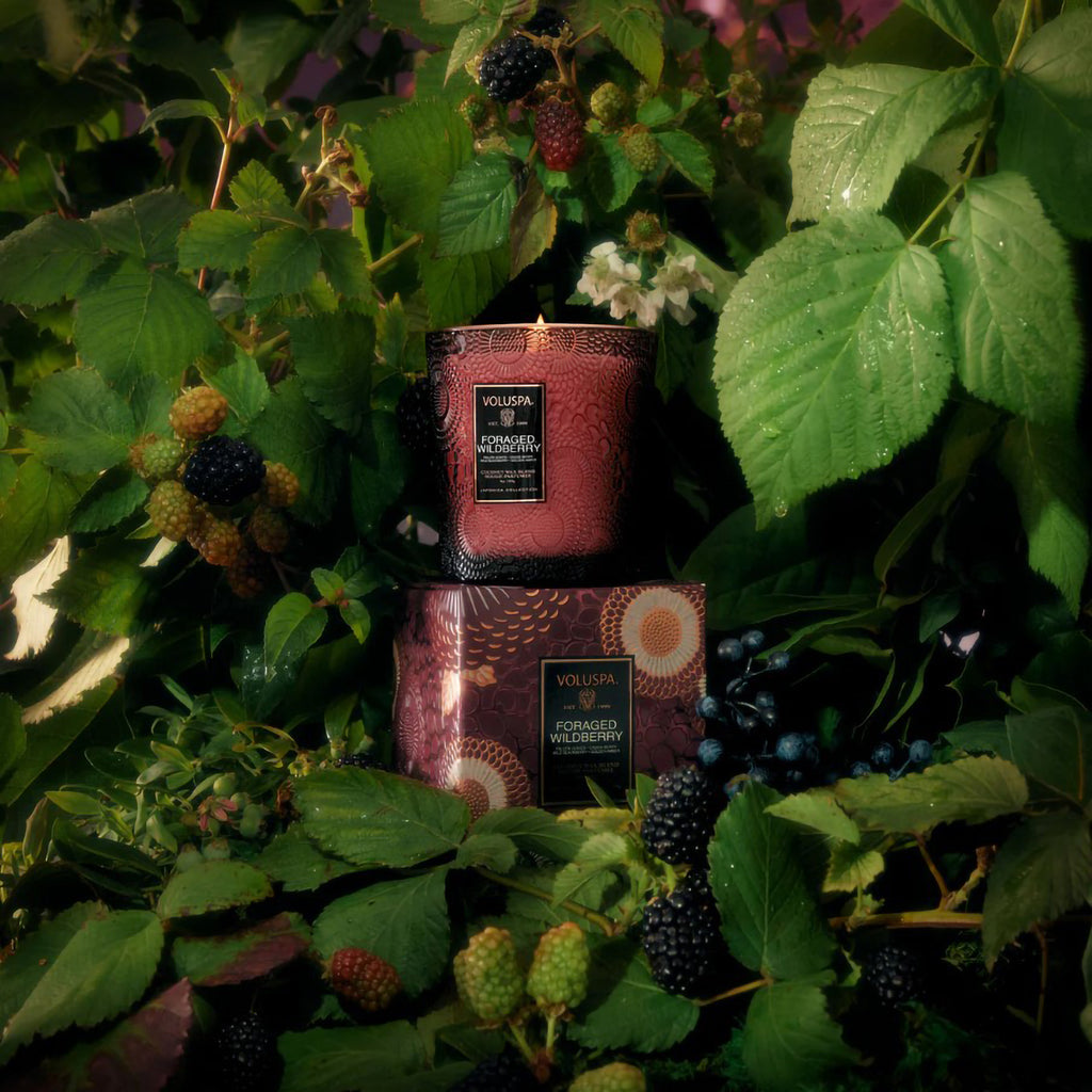Voluspa Japonica Collection Boxed Classic Candle 9 oz. / Foraged Wildberry thumbnail 38
