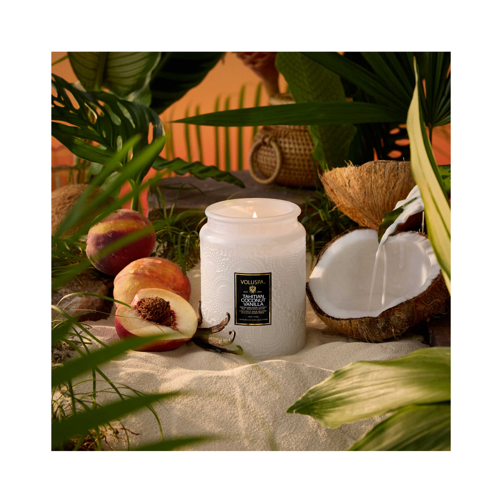 Voluspa Japonica Large Jar Candle 18oz Tahitian Coconut Vanilla / Tahitian Coconut Vanilla thumbnail 45