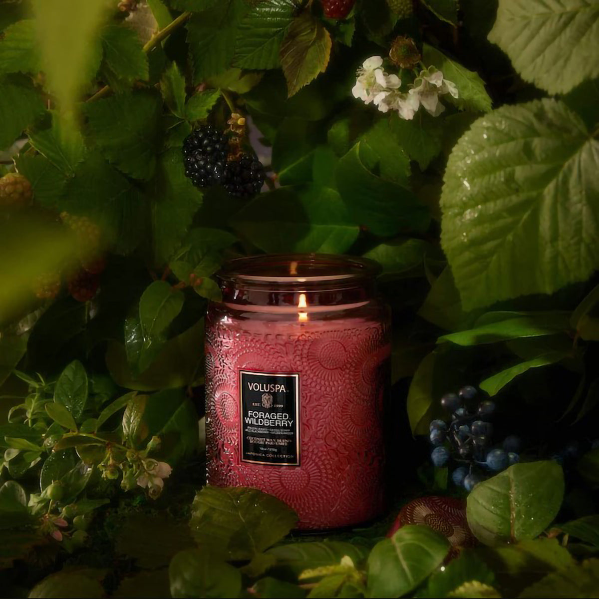 Voluspa Japonica Large Jar Candle 18oz / Foraged Wildberry, image 29348118397078
