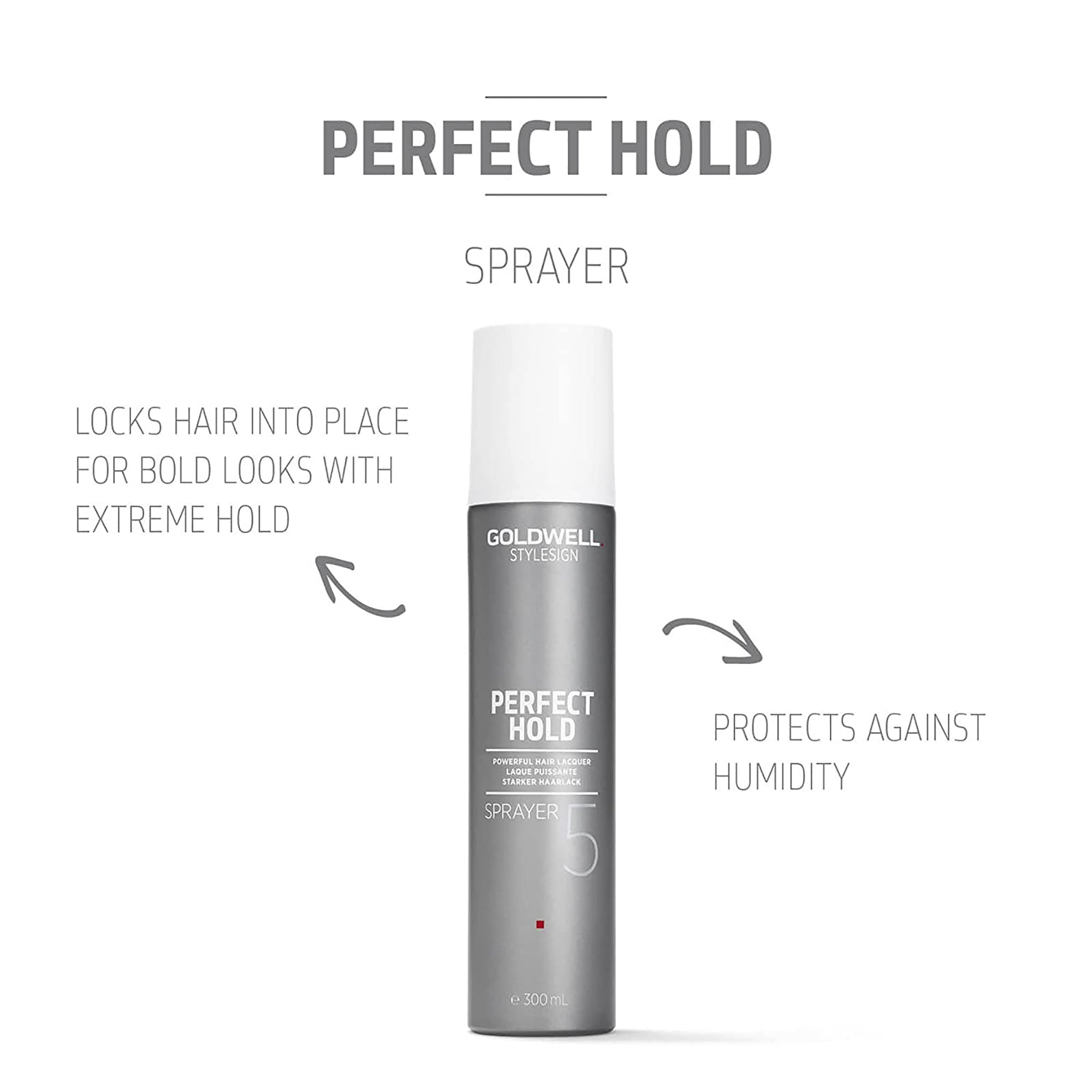 Goldwell StyleSign Perfect Hold Sprayer Powerful Hair Laquer / 10.OZ