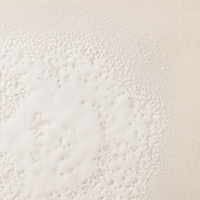 Living Proof Frizz Smooth Styling Spray / 6.7OZ