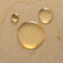 Moroccanoil Body Line Shower Gel 8.4 oz-Fragrance Originale / 8OZ