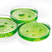 Rene Furterer VOLUMEA Volumizing Conditioner - 5oz / 5.0