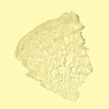 Sun Bum Kids SPF 50 Clear Sunscreen Face Stick / 0.45oz