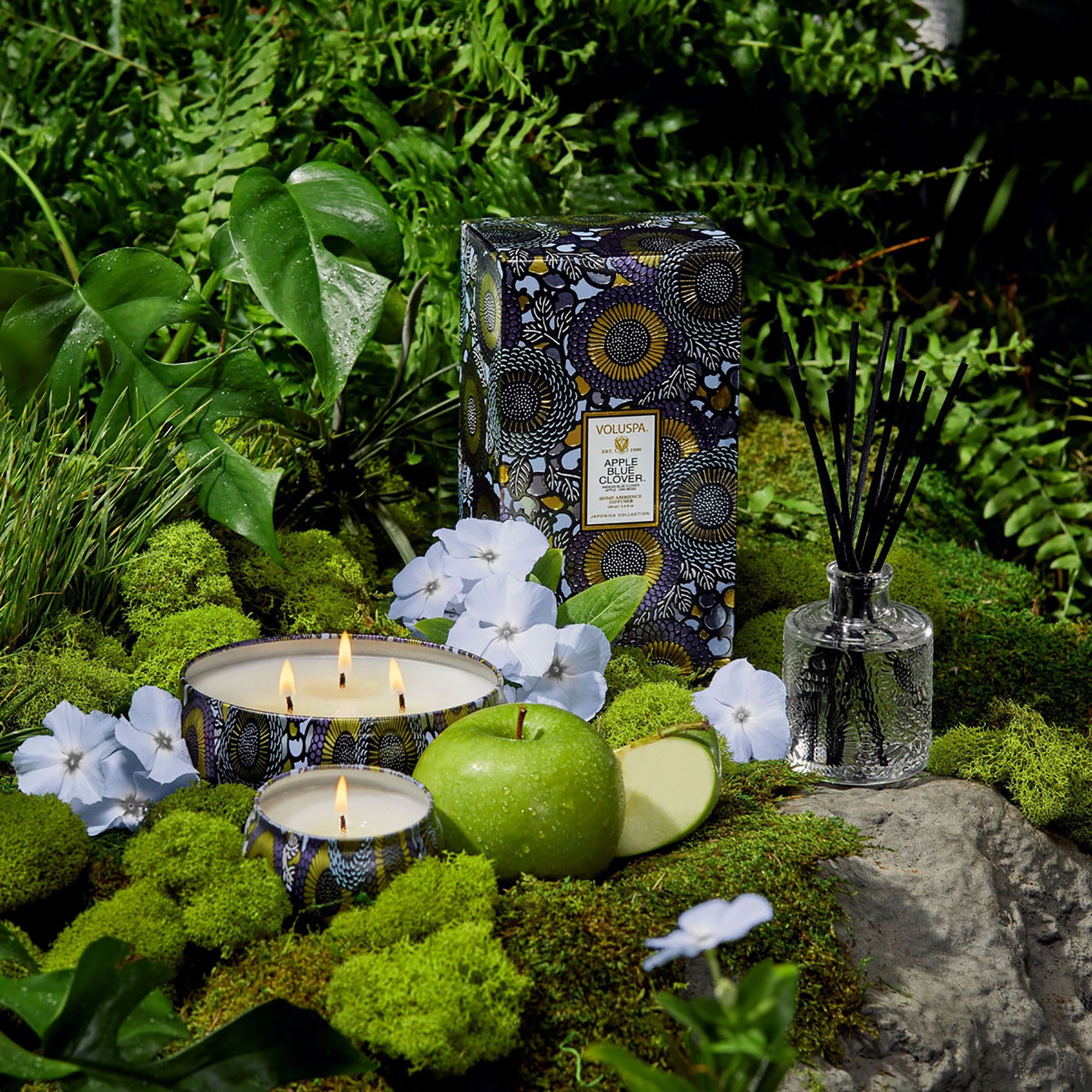 Voluspa Japonica 3 Wick Candle in Decorative Tin / Apple Blue Clover