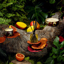 Voluspa Japonica 3 Wick Candle in Decorative Tin / Goji and Tarocco