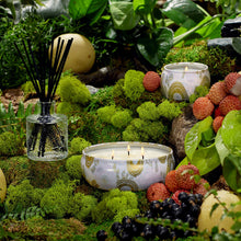 Voluspa Japonica 3 Wick Candle in Decorative Tin / PANJORE LYCHEE