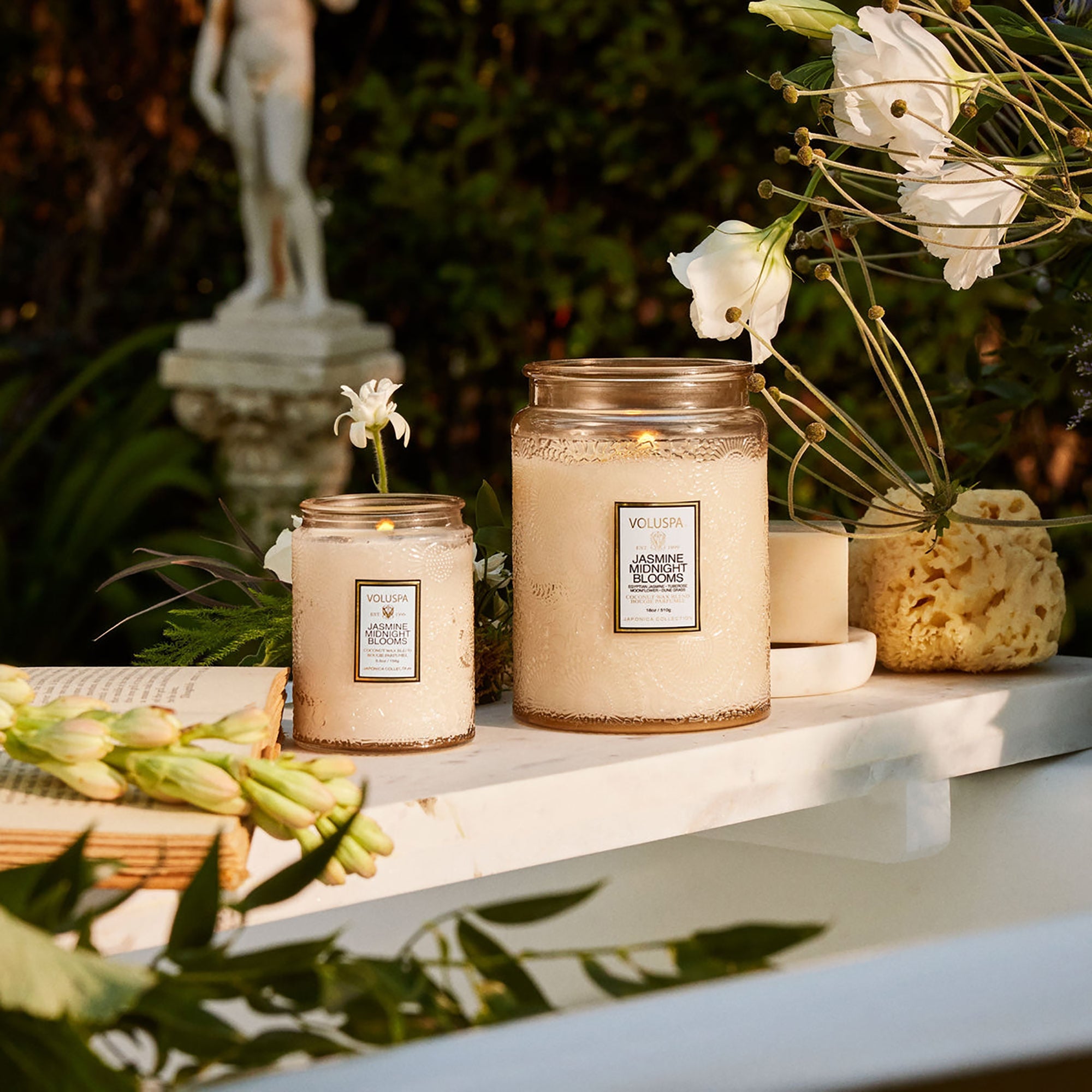 Voluspa Small Jar Candle / Jasmine Midnight Blooms