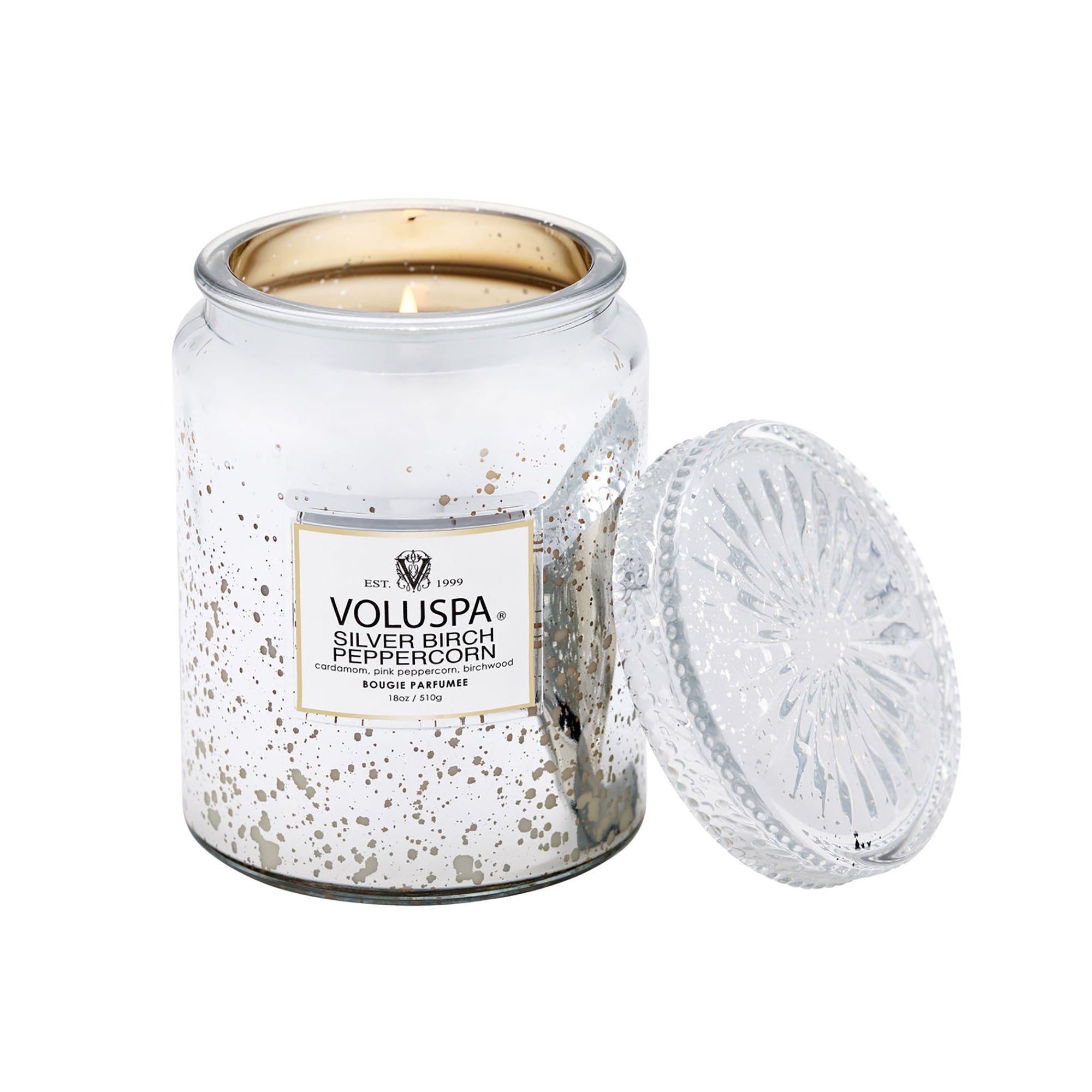 Voluspa Vermeil Large Jar Candle 18oz / Silver Birch Peppercorn