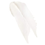 Caudalie Lip Conditioner / .14OZ