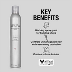 Kenra Professional Artformation Spray 18 - 10oz / 10.OZ