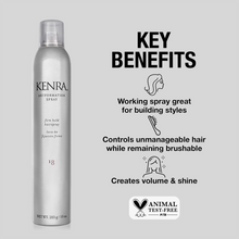 Kenra Professional Artformation Spray 18 - 10oz / 10.OZ