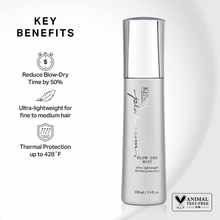 Kenra Professional Platinum Blow-Dry Mist - 3.4oz / 3.4OZ