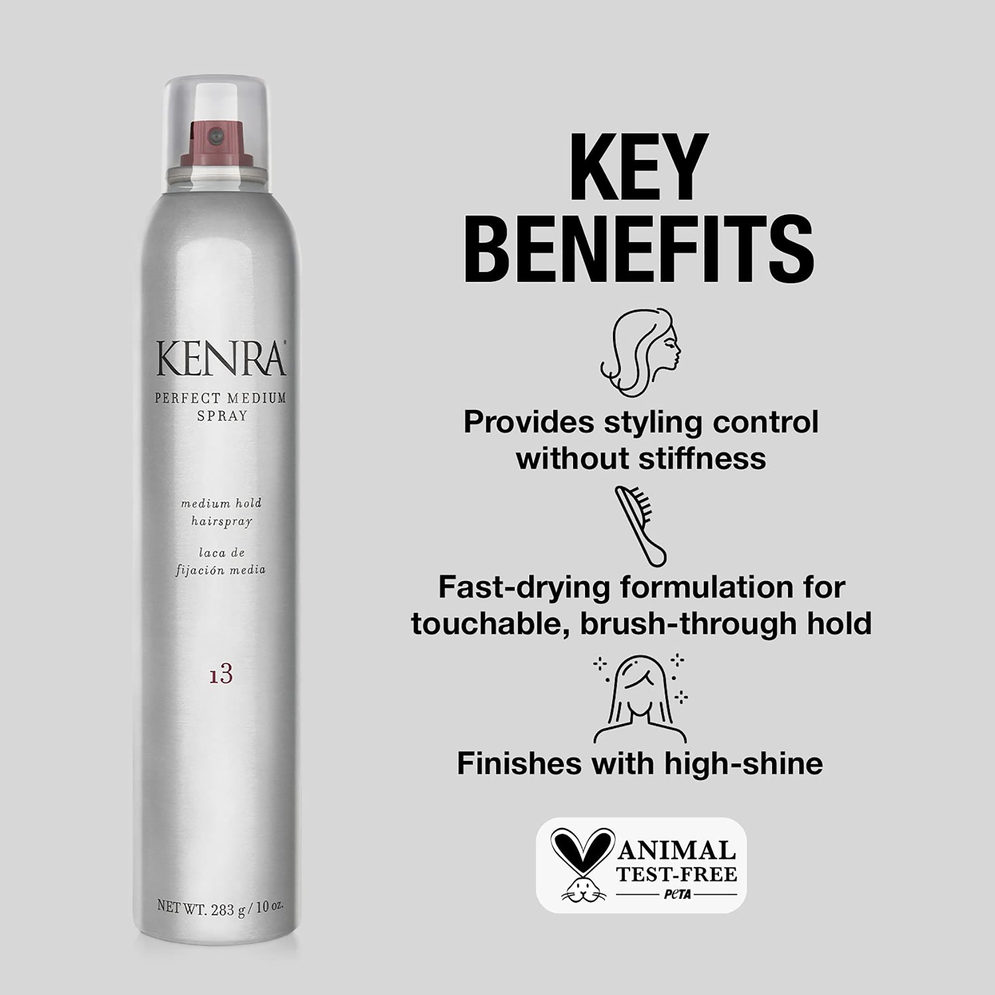 Kenra Professional Perfect Medium Spray 13 55% VOC - 10oz – Planet