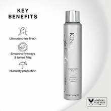 Kenra Professional Platinum Silkening Mist - 5.3oz / 5.3OZ