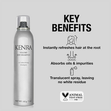 Kenra Professional Volume Dry Shampoo - 5oz / 5.OZ