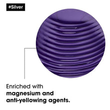 L'Oreal Serie Expert Silver Purple Shampoo - 16oz / 16OZ