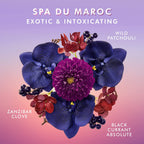 Moroccanoil Shower Gel - Spa du Maroc / 8OZ