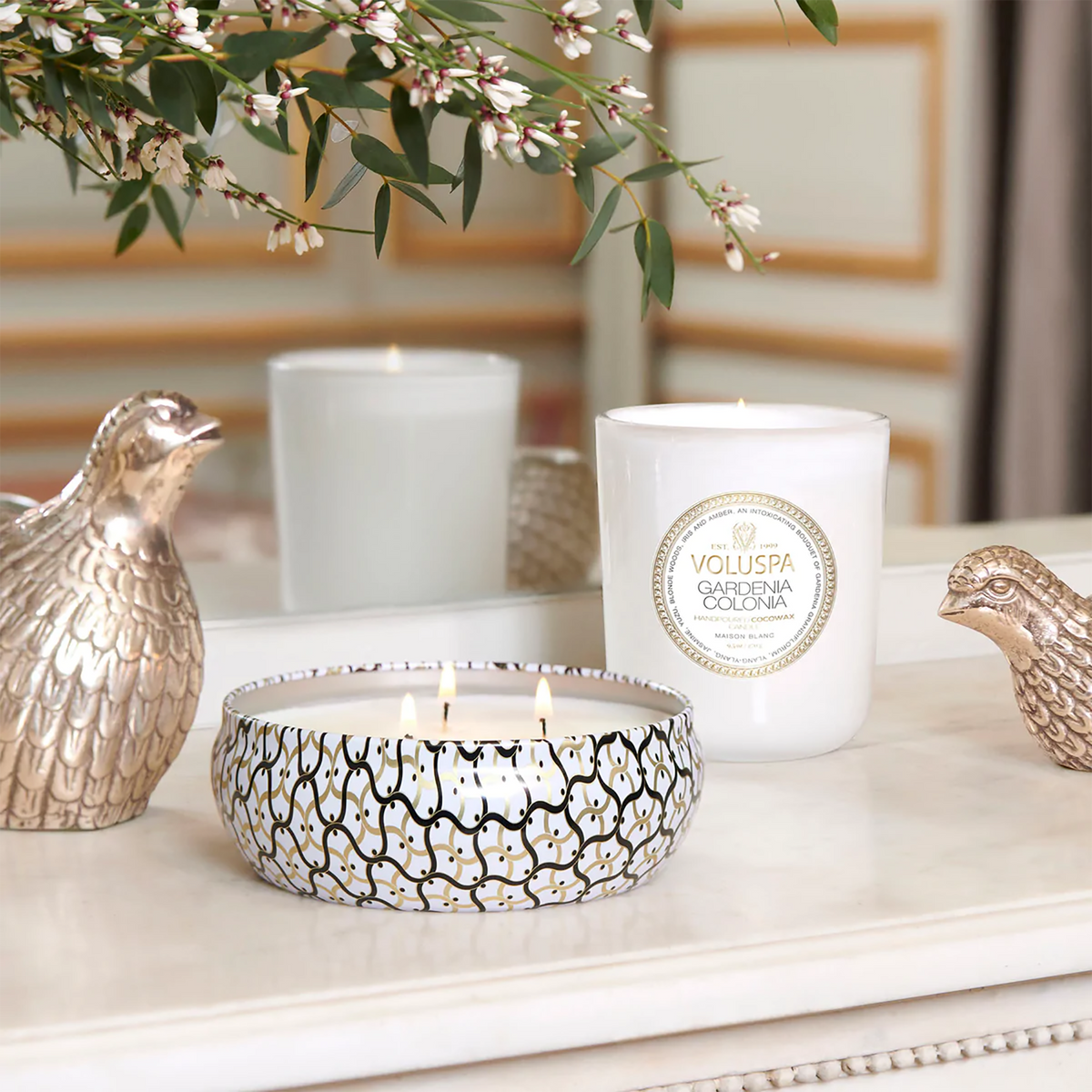 Voluspa Maison Blanc Classic Maison Candle / Gardenia Colonia, image 26453031288982