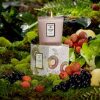 Voluspa Japonica Collection Boxed Classic Candle 9 oz. / PANJORE LYCHEE