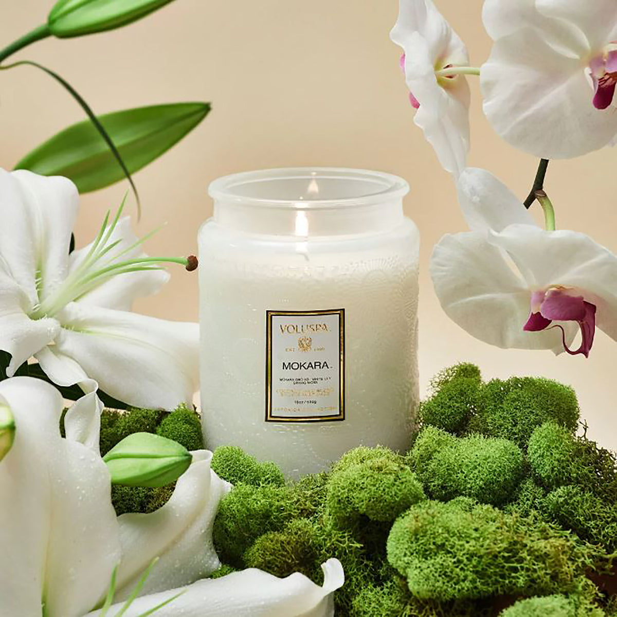 Voluspa Japonica Large Jar Candle 18oz / MOKARA, image 26016576569494