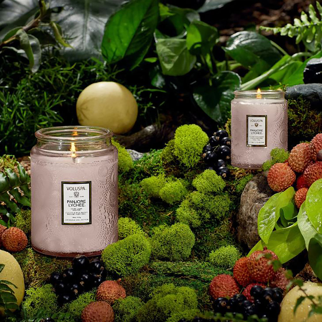 Voluspa Japonica Large Jar Candle 18oz / PANJORE LYCHEE thumbnail 22