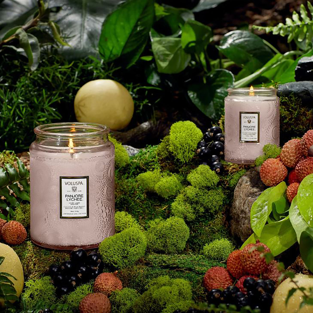 Voluspa Japonica Large Jar Candle 18oz / PANJORE LYCHEE, image 26024643330198