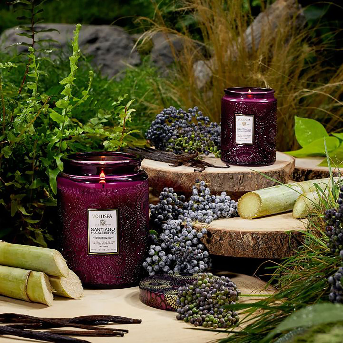 Voluspa Japonica Large Jar Candle 18oz / Santiago Huckleberry, image 26016579125398