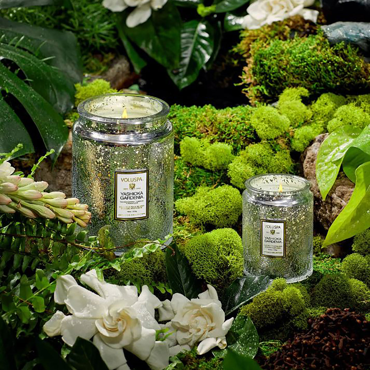Voluspa Japonica Large Jar Candle 18oz / Yashioka Gardenia, image 26024644804758