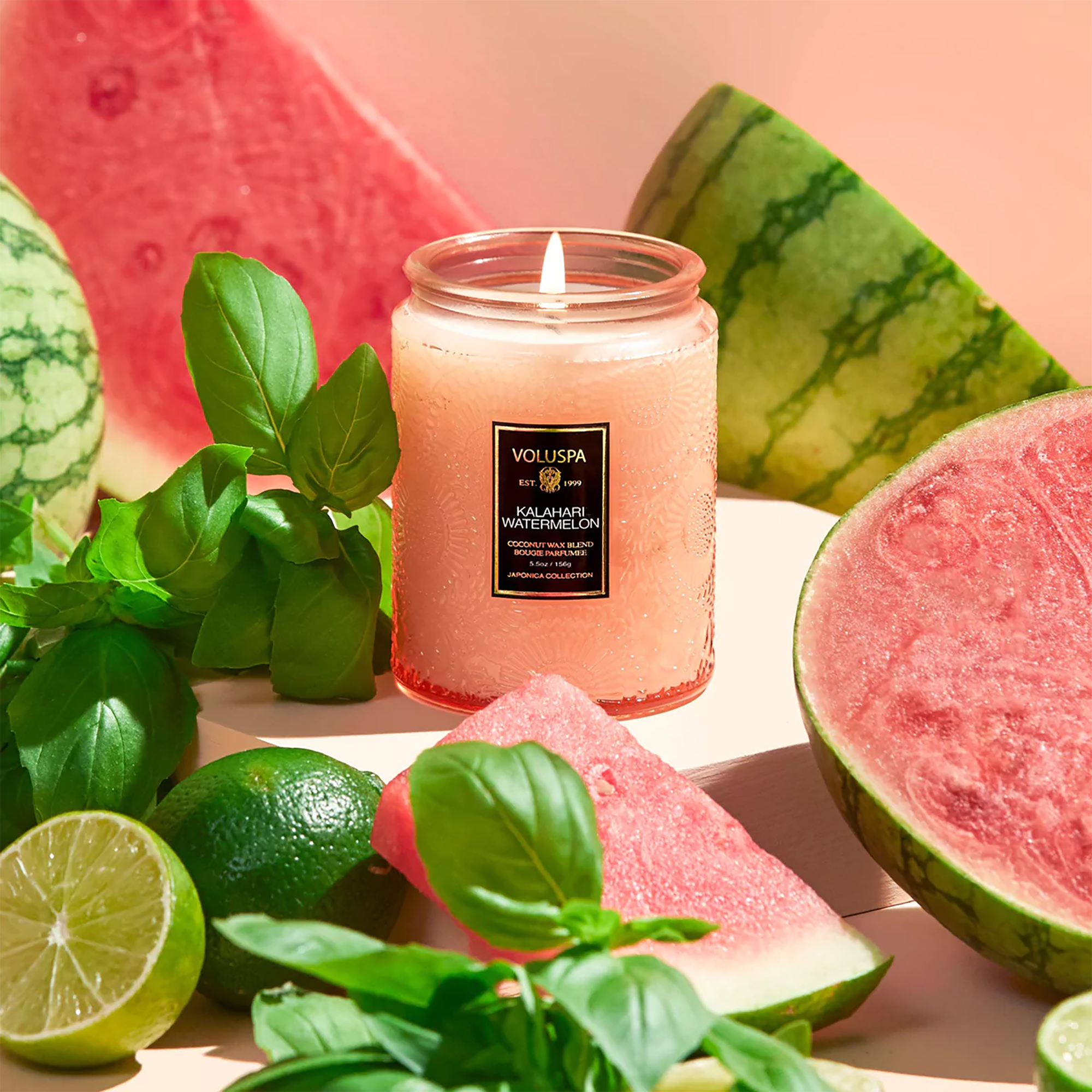 Voluspa Small Jar Candle / Kalahari Watermelon
