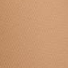 Youngblood Pressed Mineral Rice Powder / DARK / SWATCH